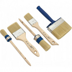 Set de pinceaux 5 pièces