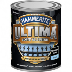 Laque de protection des métaux GL Ultima (WB) 750 ml de blanc de la circulation (Par 3)