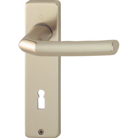 Poignée porte Birm.1117/202KP/AP Alu.F2 OB . HOPPE