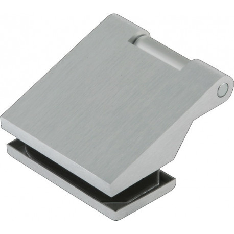 Charnière pour porte en verre OFFICE Classic LM sombre 80kg pour 3 unités .DORMAKABA (Par 2)