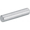 Supports étagères enfichables, acier galvanisé, étagères en bois HETTICH (Par 500)