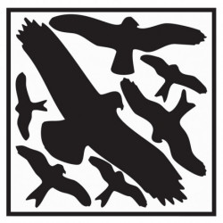 Étiquette autocollante L290xl320 mm kit protection oiseux picto d’oiseaux film autocollant