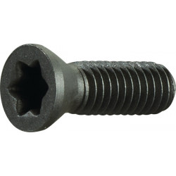 Vis de serrage M35 longueur de filetage 10 mm adapté à porte-plaq. à serrage SE (Par 2)