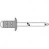 Rivet POP PolyGrip® tige de rivet D. x l 4 x 17 mm aluminium/acier inoxydable 50