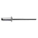 Rivet POP tige de rivet D. x l 6 x 10 mm acier/acier 250 pièce GESIPA (Par 250)