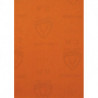 Papier abrasif PL 31 L280xl230 mm granul. 120 pour bois/métal/vernis KLINGSPOR (Par 50)