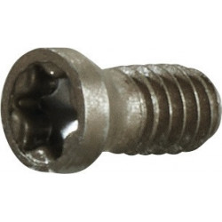 Vis de serrage taille T5 pour taille du panneau APKT...06 M2 ad. à fraise en bout/2 tailles/de viss. PROMAT