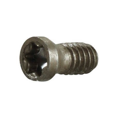 Vis de serrage taille T5 pour taille du panneau APKT...06 M2 ad. à fraise en bout/2 tailles/de viss. PROMAT