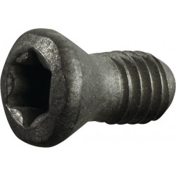 Vis de serrage taille T7 pour taille du panneau RDHX 0702 adapté à fraise à plaquettes rondes PROMAT