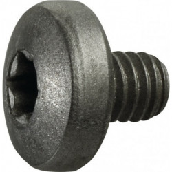 Vis de serrage taille T15 pour taille du panneau RDHX 12T3... adapté à fraise à plaquettes rondes PROMAT
