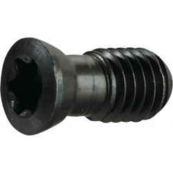 Vis de serrage taille T15 p. taille panneau SPMT 1204.. M4 longueur de filetage