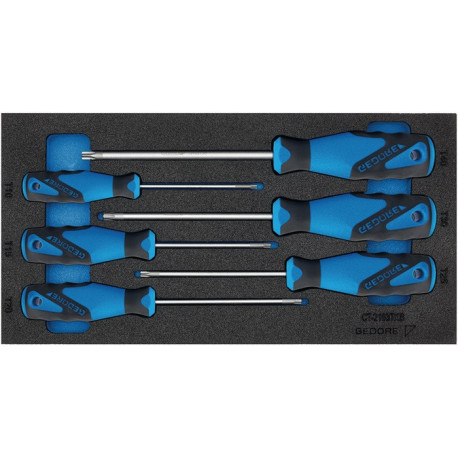 Module à outils 1500 CT1-2163 TX 6 pièces module 1/3 tournevis TORX GEDORE