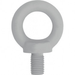 Boulon à œillet DIN 580 filetage M16 acier C15 galvanisé (Par 25)