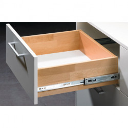 Acier à roulement à billes longueur nominale 700 mm 45 kg HETTICH