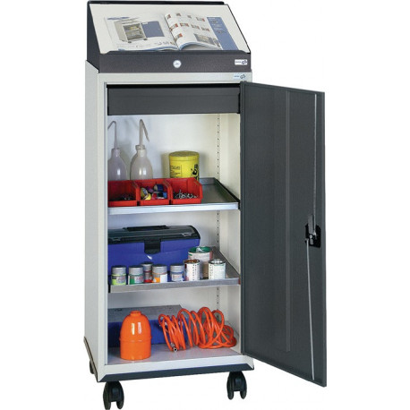 Jeu d’armoire à outils avec pupitre rapporté H1310xl500xP500 mm gris clair/gris anthracite STUMPF