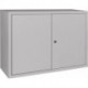 Armoire à suspendre H600xl800xP300 mm tôle pleine 1 fond tôle d’acier gris clai