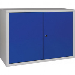 Armoire à suspendre H600xl800xP300 mm tôle pleine 1 fond tôle d’acier gris clai