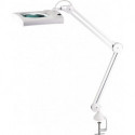 Éclairage à loupe à LED lunette 190,5 mm (7,5 po.) Pince de table blanc avec cache, tête rectangulaire