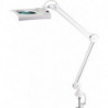 Éclairage à loupe à LED lunette 190,5 mm (7,5 po.) Pince de table blanc avec cache, tête rectangulaire