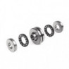 Roulements à rouleaux cylindriques axiaux à aiguilles 82mm Ext 125mm Int 65mm -20 b.+120 degrés INA
