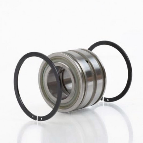 Roulements à rouleaux cylindriques SL045009 PP 40mm Ext 75mm Int 45mm foret cylindrique .INA