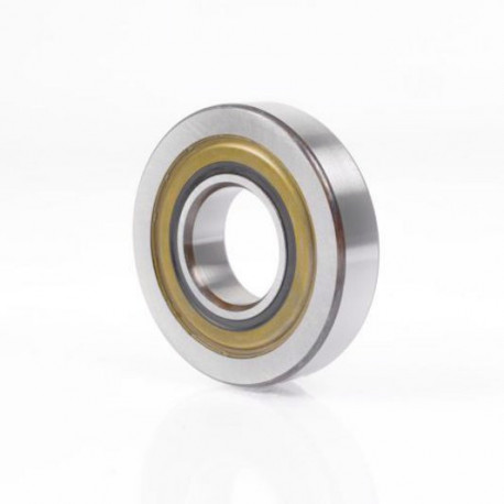 Roulement LFRI50/8-6 -2Z 15mm Ext 24mm Int 61mm Stand.acier à roulement (100Cr6) IN