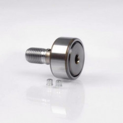 Galet KR19 32mm Ext 19mm Int 8mm Acier à roulement standard (100Cr6) INA