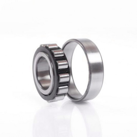 Roulements à rouleaux cylindriques N224 ECM 40mm Ext 215mm Int 120mm foret cylindrique .SKF