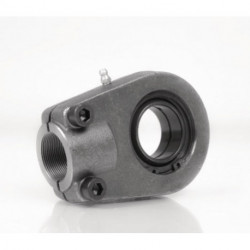 Tête articulée 25mm Ext 79mm Int 35mm SKF