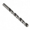 Foret hélicoidal TypN A100 D.0.35mm HSS Brut Queue cylindrique droite s DORMER (Par 10)