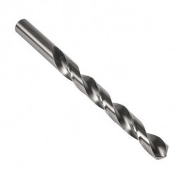 Foret hélicoidal TypN A100 D.0.74mm HSS Brut Queue cylindrique droite s DORMER (Par 10)