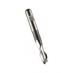 Fraise à rainurer Werksnorm L.64.5mm HSS-E Brut Z.2 DORMER
