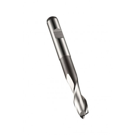 Fraise à rainurer Werksnorm L.90.5mm HSS-E Brut Z.2 DORMER