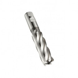 Fraise C403 Gesamt-L.166mm L.109.5mm HSS-E Brut 30 degrés Z.5 DORMER