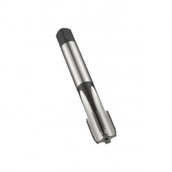 Taraud machine C G 3/8 pouces x19 HSS-E-PM brillant Normal DORMER