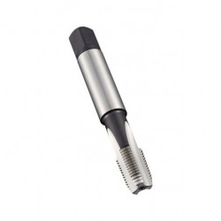 Taraud de machine Werksnorm-ANSIC NPT 1/8 pouces x27 HSS-E-PM brillant Normal DOR