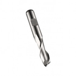 Fraise à rainurer L.31.5mm HSS-E-PM Brut Z.2 DORMER