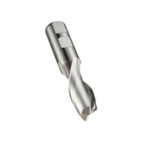 Fraise à rainurer L.64.5mm HSS-E-PM Brut Z.2 DORMER