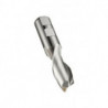Fraise à rainurer L.64.5mm HSS-E-PM Brut Z.2 DORMER