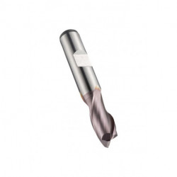 Fraise à rainurer HSS-E-PM TiCN Z.2 DORMER