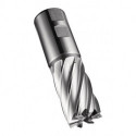 Fraise C247 DIN 844 K D.25mm Coupe-L.45mm HSS-E-PM Brut 30 degrés Z.5 DO