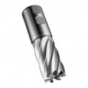 Fraise C247 DIN 844 K D.32mm Coupe-L.53mm HSS-E-PM Brut 30 degrés Z.6 DO