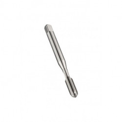 Taraud machine Werksnorm-ISOC EGM5x0.8mm HSS Brut 6H DORMER