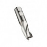 Fraise à rainurer HSS-E-PM brillant Z.3 DORMER