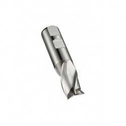 Fraise à rainurer L.45.5mm HSS-E-PM Brut Z.3 DORMER