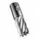 Fraise C247 DIN 844 K D.36mm Coupe-L.53mm HSS-E-PM Brut 30 degrés Z.6 DO