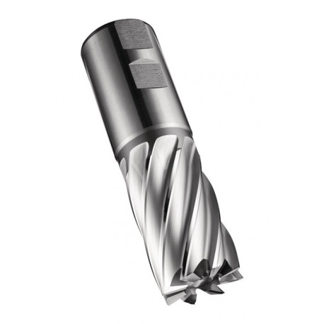 Fraise C247 DIN 844 K D.40mm Coupe-L.63mm HSS-E-PM Brut 30 degrés Z.6 DO