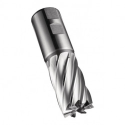 Fraise C247 DIN 844 K D.25.4mm Coupe-L.45mm HSS-E-PM Brut 30 degrés Z.5