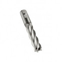 Fraise C273 DIN 844 L D.25.4mm Coupe-L.90mm HSS-E-PM Brut 30 degrés Z.5
