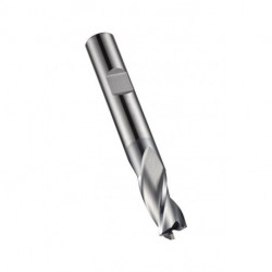 Fraise à rainurer D.4.5mm HM AlCrN Z.3 DORMER